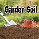 garden-soil-4