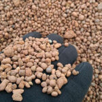 hydroton-clay-pebbles-3-8mm-2